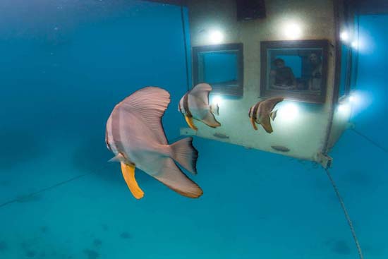 underwater-room-manta-resort-3